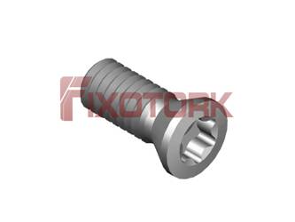 PARAFUSO TORX 25L63-B3807
