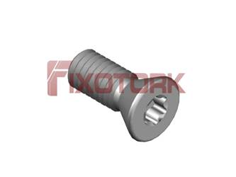 PARAFUSO TORX 30L75-W5108