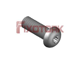 PARAFUSO TORX 60L20-L1020