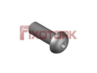 PARAFUSO TORX 80L25-L1420