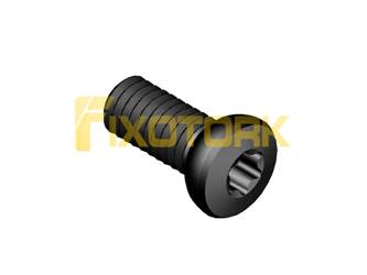 PARAFUSO TORX 40L10-AJ6915