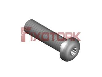 PARAFUSO TORX 60L25-L9920
