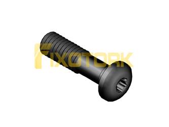 PARAFUSO TORX 60L25-LA1020