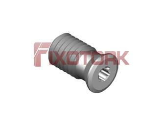 PARAFUSO TORX 80L14-B9620