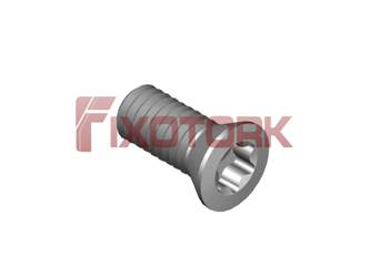 PARAFUSO TORX 35L80-B5515/30º