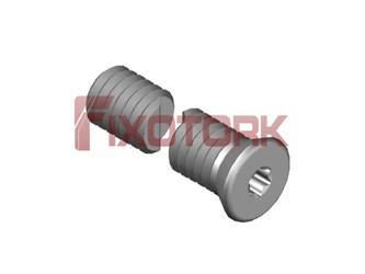 PARAFUSO TORX 40L20-W5607