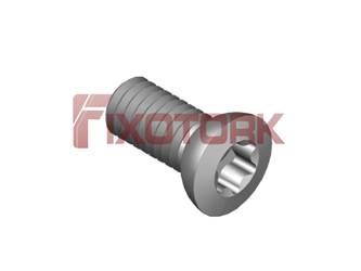 PARAFUSO TORX 35L80-AJ5915