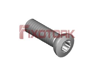 PARAFUSO TORX 35L12-AJ5915