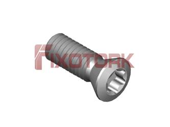 PARAFUSO TORX 35L10-B5515/30
