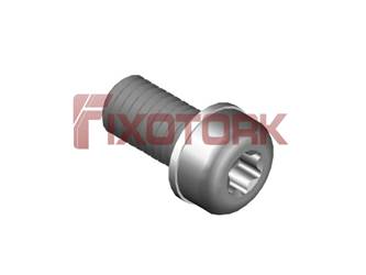 PARAFUSO TORX 50L13-L7920