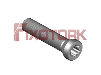 PARAFUSO TORX 35L16-A5215