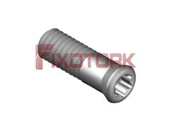 PARAFUSO TORX 35L11-N4310