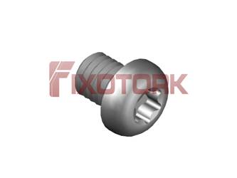 PARAFUSO TORX 30L50-L5009