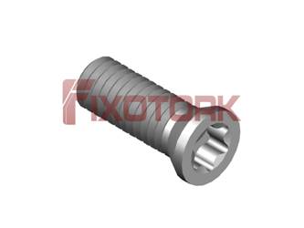 PARAFUSO TORX 35L96-W5015