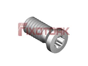 PARAFUSO TORX 30L73-A4209
