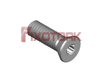 PARAFUSO TORX 35L11-W5809