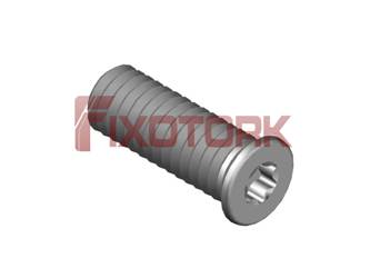 PARAFUSO TORX 40L12-W5209