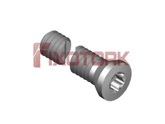 PARAFUSO TORX 35L20-B4709