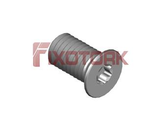 PARAFUSO TORX 40L70-W5909