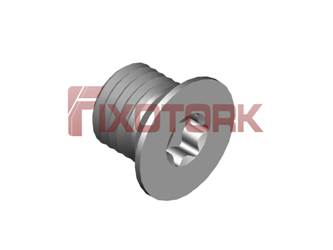 PARAFUSO TORX 40L45-W5909