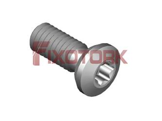 PARAFUSO TORX 40L12-K7015