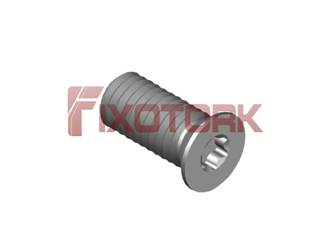 PARAFUSO TORX 50L11-W7015