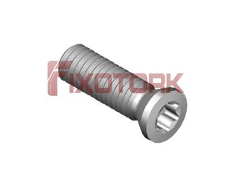 PARAFUSO TORX 30L10-A4209