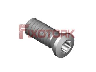 PARAFUSO TORX 22L60-B3106