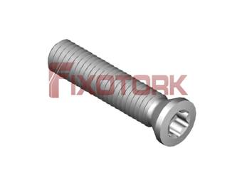 PARAFUSO TORX 30L14-A4209