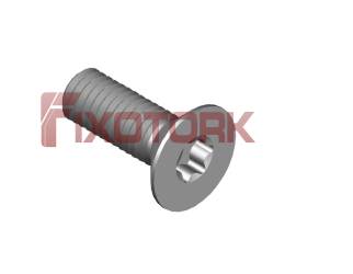 PARAFUSO TORX 50L10-W1025