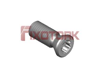 PARAFUSO TORX 40L10-E5515