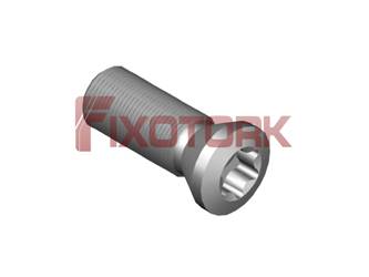 PARAFUSO TORX 30L85-A4309