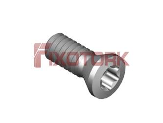 PARAFUSO TORX 22L60-B3507