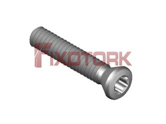 PARAFUSO TORX 22L12-B3507
