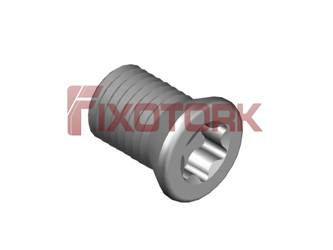PARAFUSO TORX 40L60-W5515