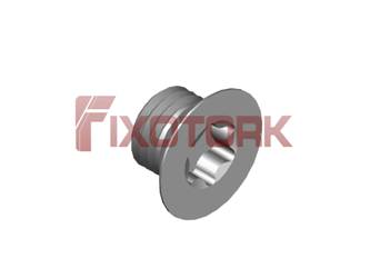 PARAFUSO TORX 40L33-W6415