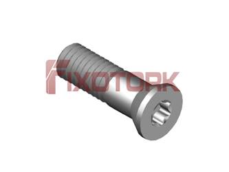 PARAFUSO TORX 60L20-Z9225