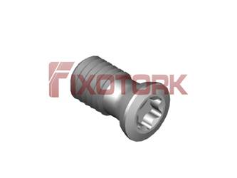 PARAFUSO TORX 50L97-H6620