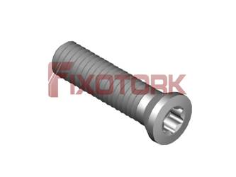 PARAFUSO TORX 30L12-A4208