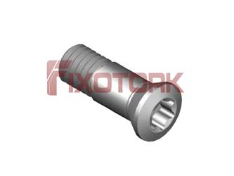 PARAFUSO TORX 45L14-AM6720