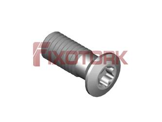 PARAFUSO TORX 50L13-K7820