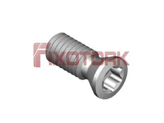 PARAFUSO TORX 30L72-B4210