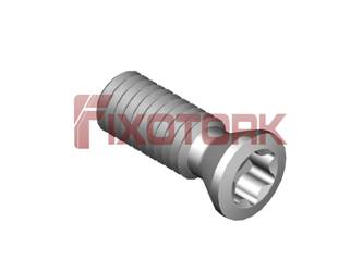PARAFUSO TORX 30L85-B4210