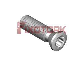 PARAFUSO TORX 30L10-B4210