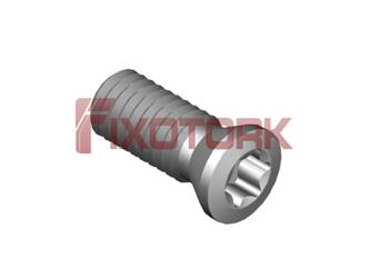 PARAFUSO TORX 30L77-A4209