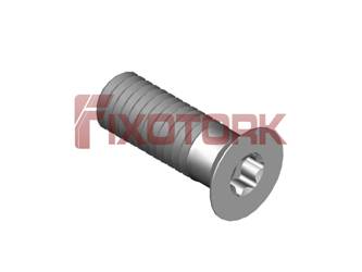 PARAFUSO TORX 45L13-W7215
