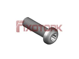 PARAFUSO TORX 50L19-L8525