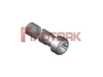 PARAFUSO TORX 35L20-L4810