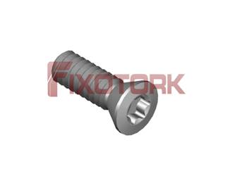 PARAFUSO TORX 20L58-B3106