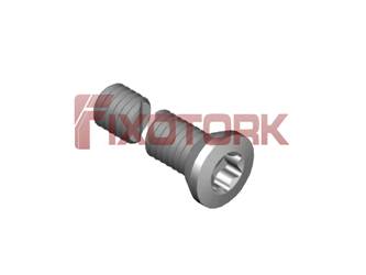 PARAFUSO TORX 30L26-K5010